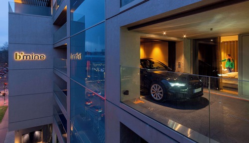 Executive Room (Larger Room)