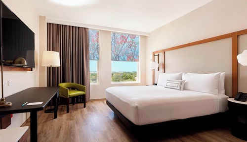Room, 1 King Bed, Non Smoking