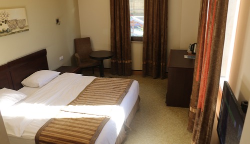 Standard Room, Mountain View