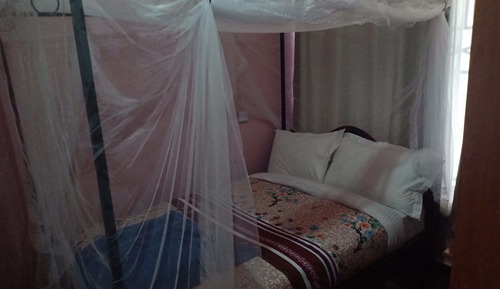 Comfort Single Room, 1 Twin Bed, Non Smoking