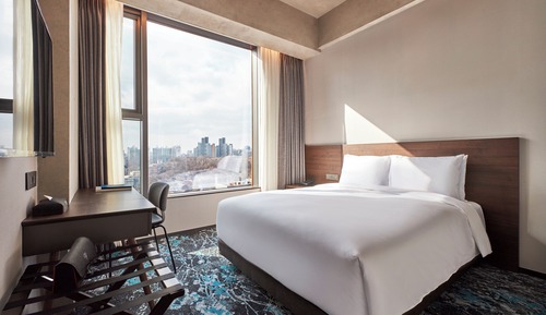 Standard Double Room, 1 King Bed (Late Check-in at 19:00)