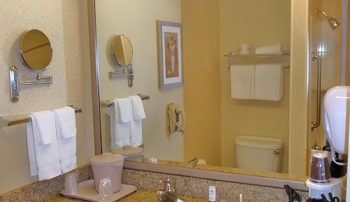Room, 1 King Bed (Mobility/Hearing Access, Roll-In Shwr)