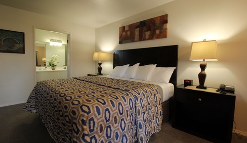 Room, 1 King Bed, Non Smoking