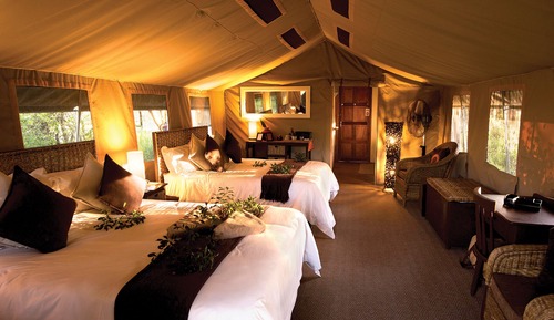 Family Suite (#1)