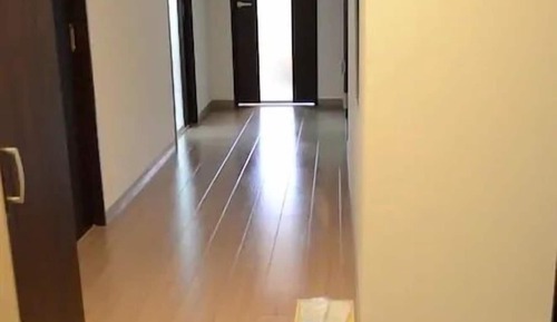 Apartment Royal Suite, Non Smoking, 502