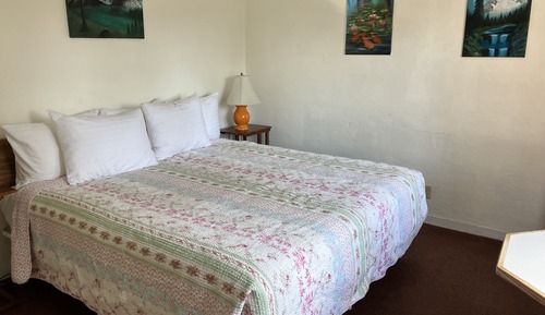 Standard Single Room, 1 King Bed