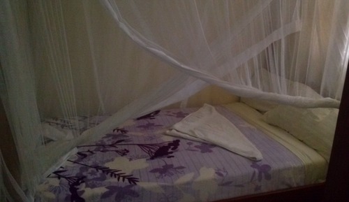 Economy Single Room