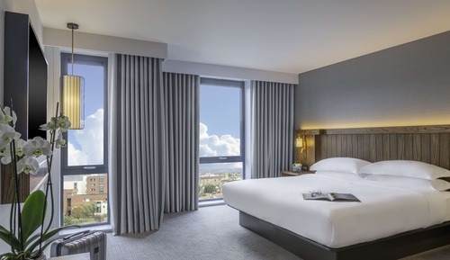 Deluxe Room, 1 King Bed