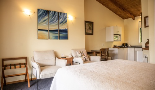 Superior Studio, 1 Queen Bed, Accessible