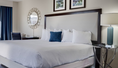Room, 1 King Bed, City View (Skyline)