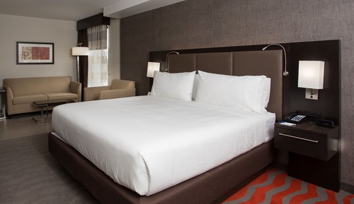 Suite, 1 King Bed, Accessible (Communications, Roll-In Shower)