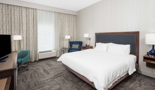 Room, 1 King Bed, Accessible, Non Smoking (Rollin Shower)