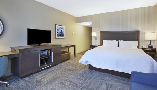 Room, 1 King Bed, Non Smoking, Refrigerator & Microwave