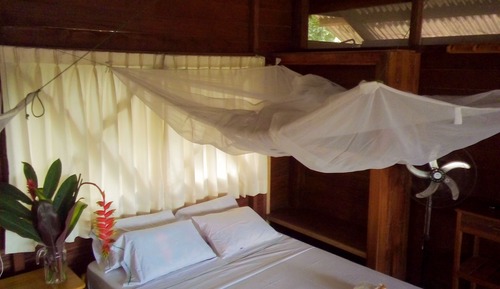 Junior Suite, Refrigerator, River View