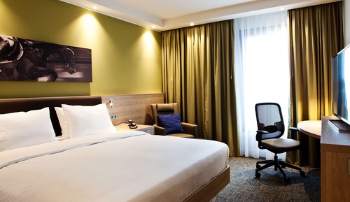 Room, 1 King Bed