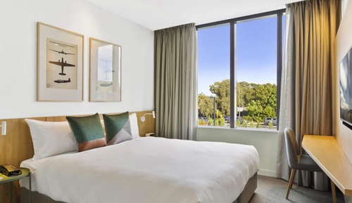 Studio, 1 King Bed