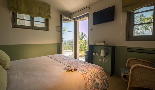 Superior Double Room, 1 Queen Bed, Patio, Annex Building