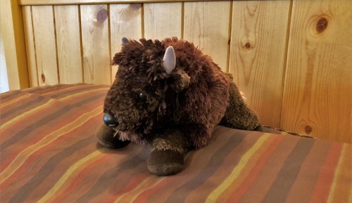 Comfort Double Room, 1 Queen Bed, Shared Bathroom (Bison)