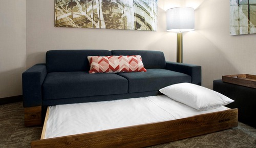 Suite, Multiple Beds (Mobility/Hearing Access, Roll-in Shwr)