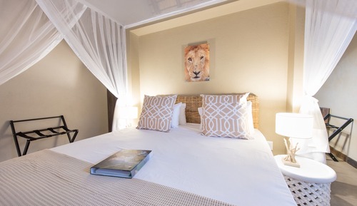Lion Room 