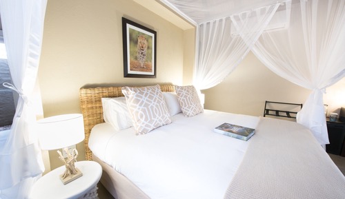 Leopard Room 