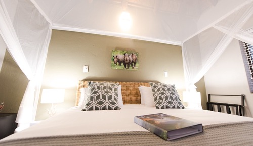 Rhino Room 