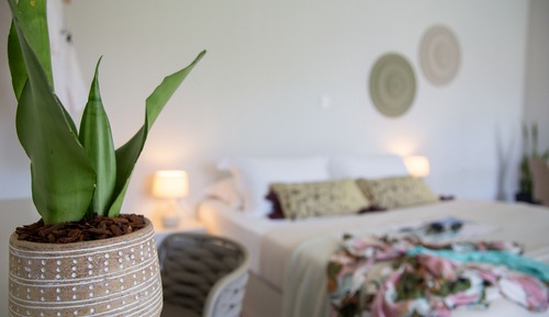Deluxe Studio Suite, Balcony, Garden View