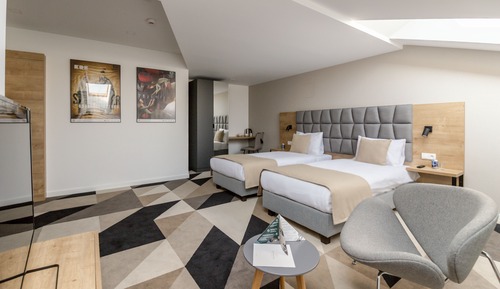 Double or Twin Room, Attic