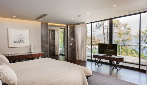 Premium Villa, 1 King Bed