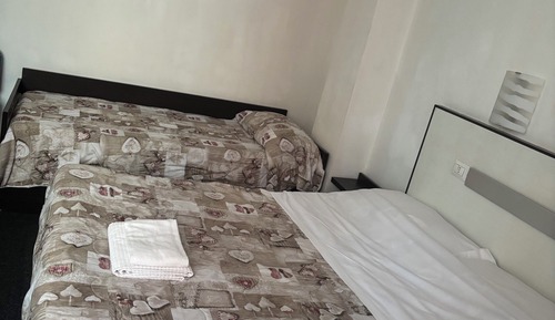 Triple Room, Multiple Beds