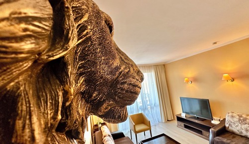 Comfort Apartment, City View