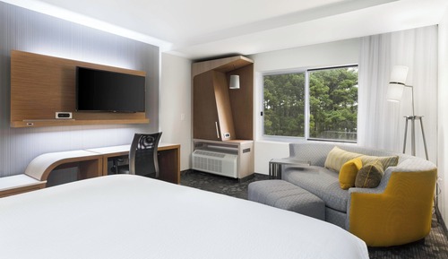 Room, 1 King Bed with Sofa bed, Non Smoking (Mobility/Hearing Accessible, Tub)