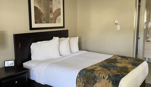 Room, 1 Queen Bed