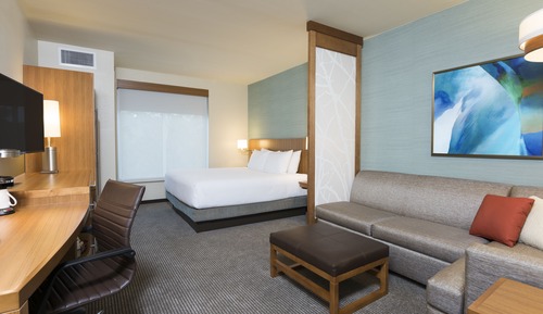 Deluxe Room, 1 King Bed with Sofa bed, Accessible, Bathtub