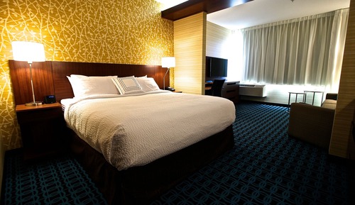 Suite, 1 King Bed with Sofa bed