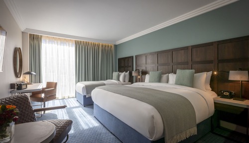 Deluxe Double Single Room