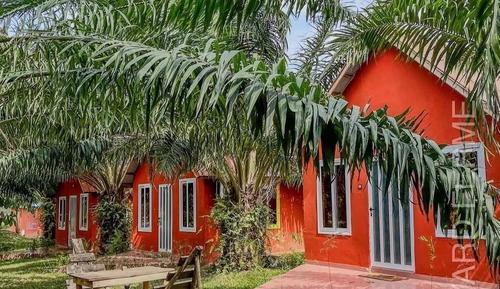 Family Room, Garden View