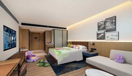 Family Room, 1 King Bed