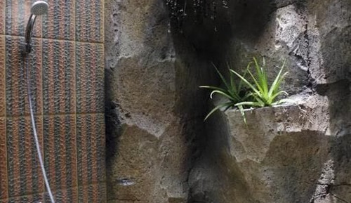 Standard Twin Room, Mountain View