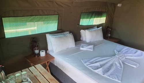 Superior Tent, Garden View