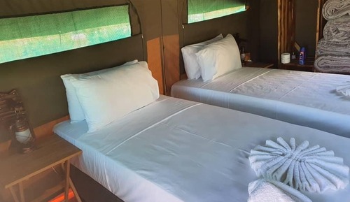 Economy Tent, Garden View