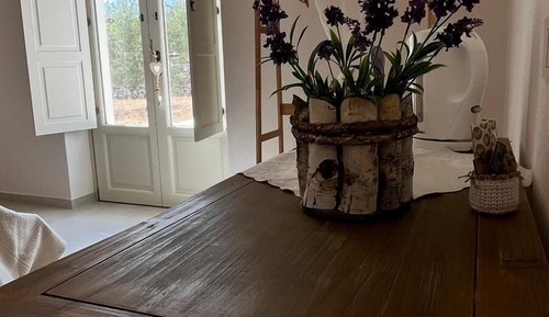 Classic Room, Garden View