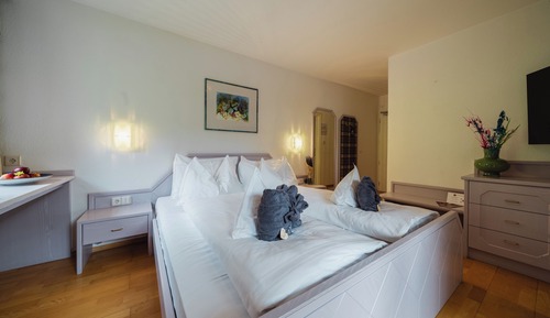 Basic Double Room, Balcony, Mountain View