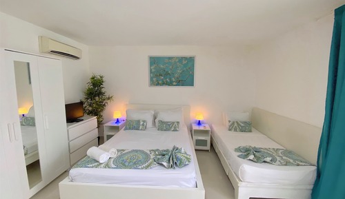 Basic Studio, Balcony, Pool View