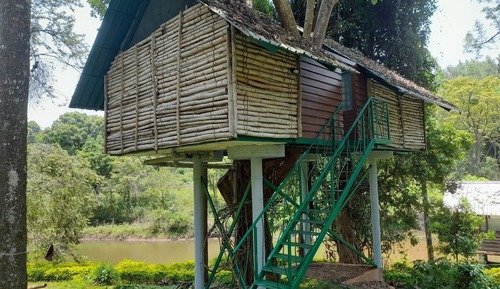 Deluxe Tree House, Balcony, Lake View
