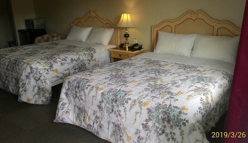 Room, 2 Queen Beds