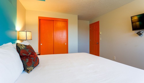 Room, 1 King Bed