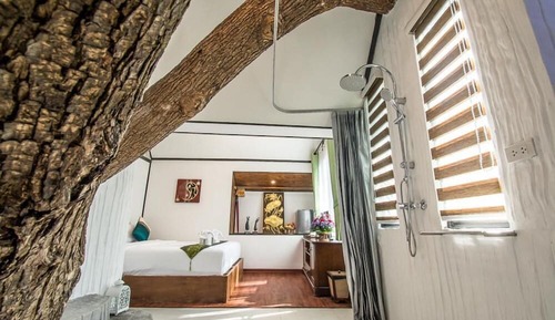 Tree House