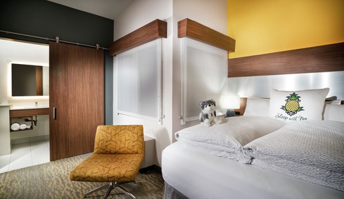 Room, 1 Queen Bed (  Z )