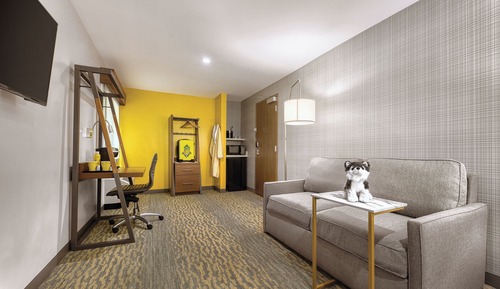 Suite, 1 King Bed with Sofa bed, Accessible